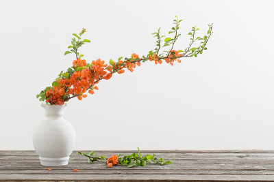 白花瓶里的木瓜