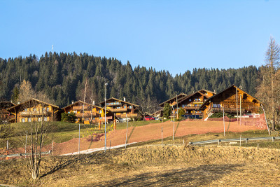 高山村庄