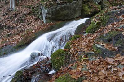 Waldbach