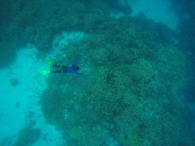 环礁的边缘和沙天堂在Truk泻湖，Chuuk