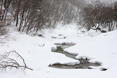 雪,小溪,
