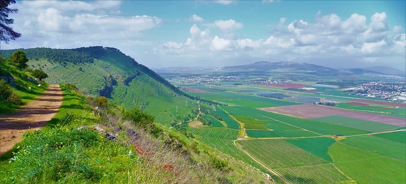 基利波山野景在春天，以色列