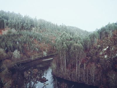 河