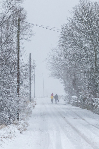 雪覆盖了道路