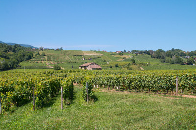 法国Vignobles de Savoie, Les Marches