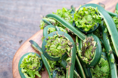 日本野菜