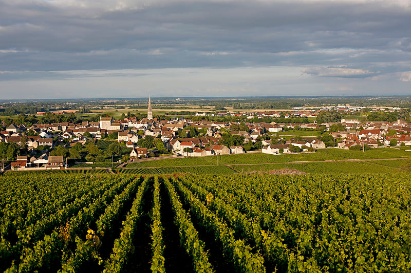 Meursault村，勃艮第葡萄酒之路，Cote D'or - France