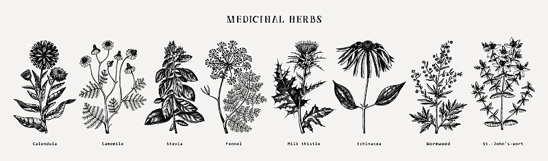 草药收集。