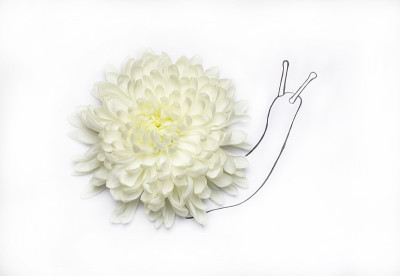 蜗牛