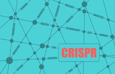 CRISPR系统的编辑，调节和靶向基因组词云