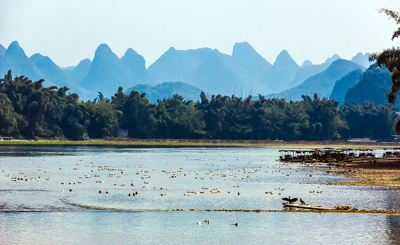 中国中部的野生动物场景——鸟在河上