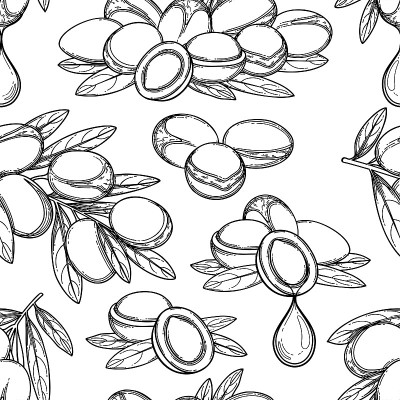 Seamless pattern of graphic argan plants. Vector d