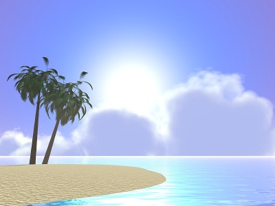 美丽的海景和棕榈树