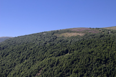 西班牙北部坎塔布里亚山区，夏季