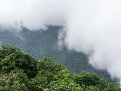 低云层,春天