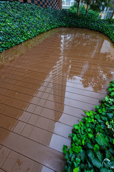 在雨中发光的木路