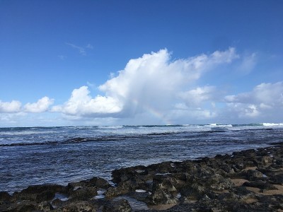 夏威夷考艾岛冬季雨天的波利黑尔海滩。
