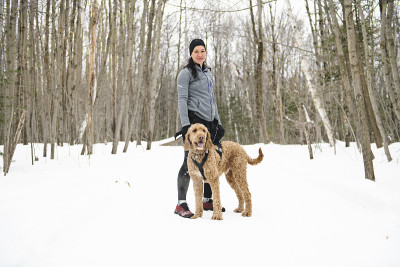 cancross雪橇犬在冬季拉年轻女子
