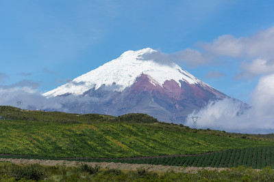 规定volcano