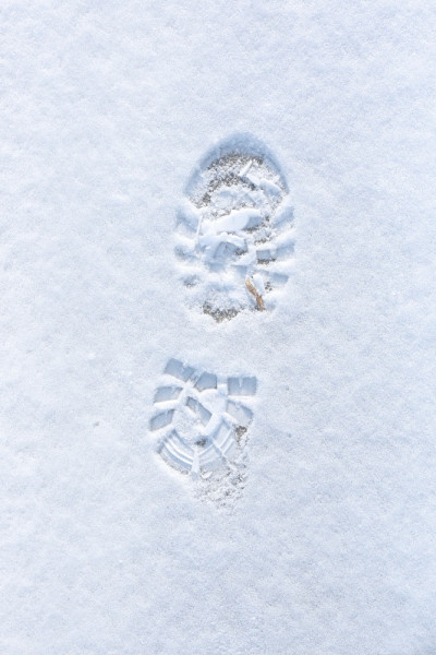 雪地上的脚印