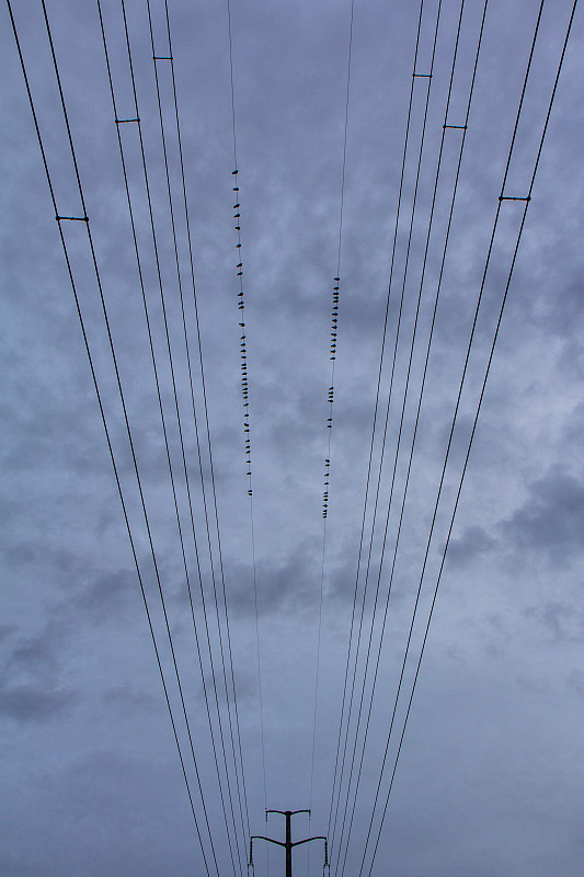 電線と曇り空