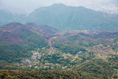 大火后景观。香港沙田附近的郊野