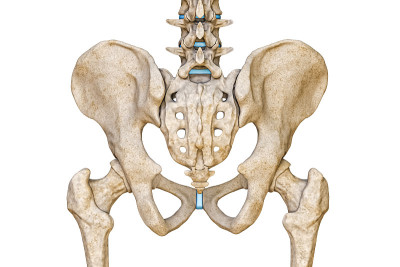 人类男性骨盆，骶骨，腰椎和股骨在白色背景上分离的后或后视图3D渲染插图。空白的解剖图。解剖学，医学，