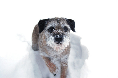 玩雪
