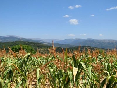 山景观