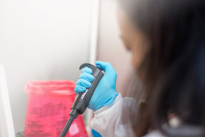 在医院生物安全柜中，科学家或实验室工作人员手戴手套，用移液管滴管将样品滴到研究实验室耐药检测板上。