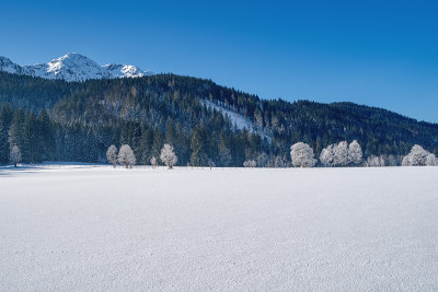 美丽的冬天的风景。树上覆盖着白霜和雪。Leogang, Tirol，阿尔卑斯山，奥地利