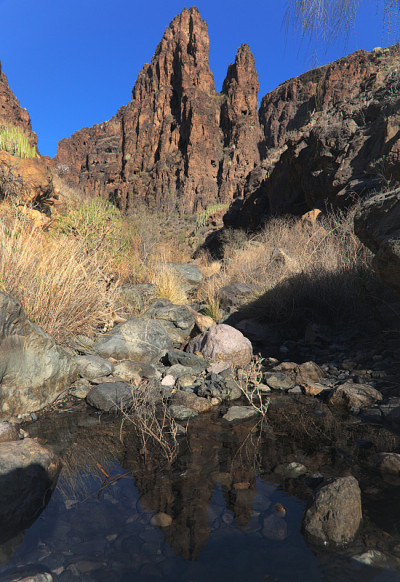 大卡纳里亚岛，沿着ravive Barranco Hondo的徒步旅行路线，岛屿南部的深峡谷，充满了