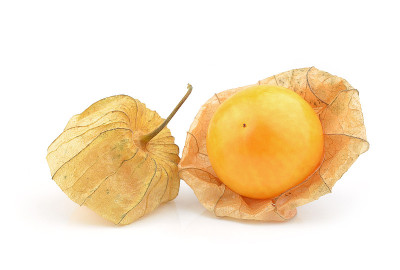 白背景上的醋栗角