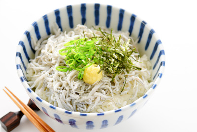 shirasu堂。银鱼碗。日本的食物。