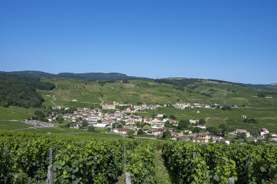 风景如画的Fuissé村位于勃艮第葡萄园的Saône-et-Loire处