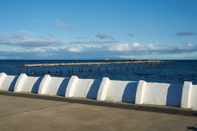 Punta Arenas