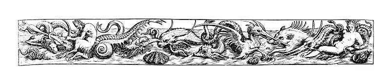 海洋生物图片边界摘自1886年的英文画报杂志