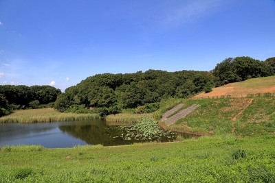 湖