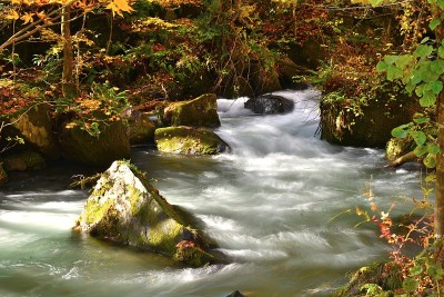 日本北部秋天的江濑河
