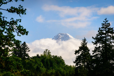 胡德山