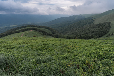 迷雾中的山间小道。