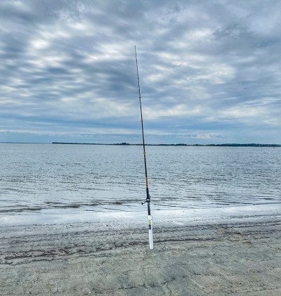 海洋渔业