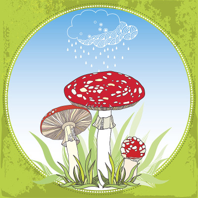 鹅膏和雨云。圆框里的有毒蘑菇