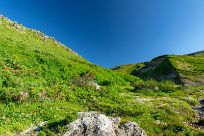 夏天的风景Kurodake峰会,北海道。