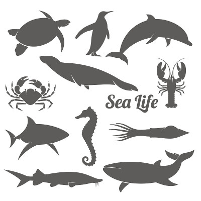 最小海洋动物剪影矢量插图
