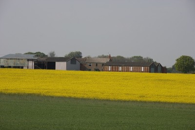 MH_landscapes004