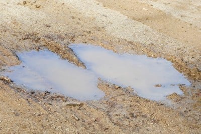 公园里的水坑