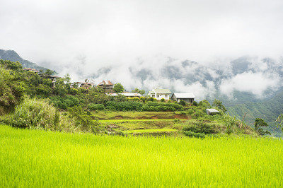 卡林加村
