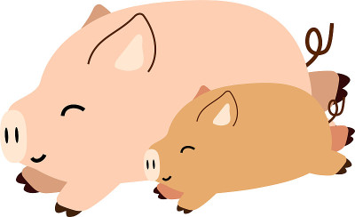 可爱的猪插图