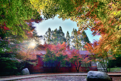 福寿山枫叶红叶